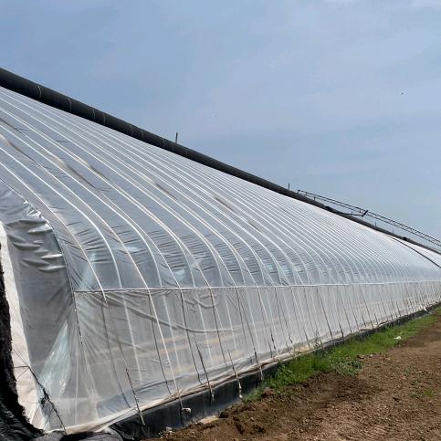 农业棚友-任同学