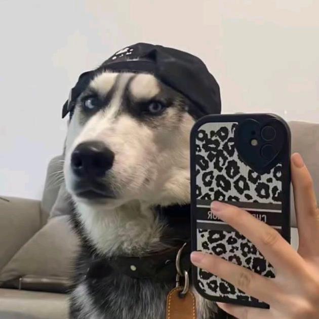 清大哥