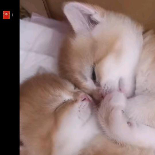 忐忑不安