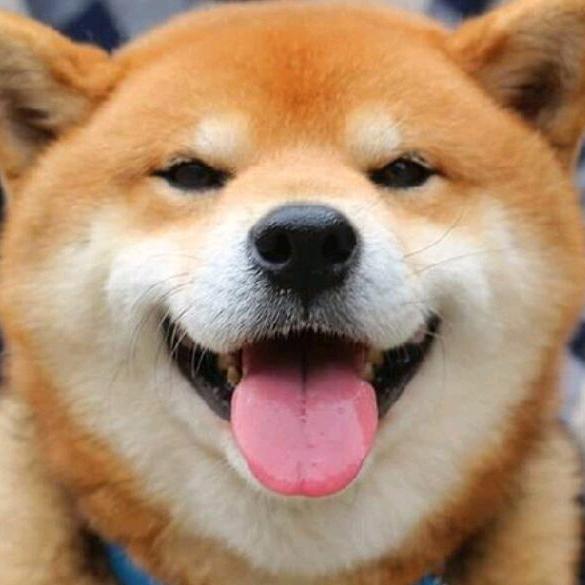 琵琶王