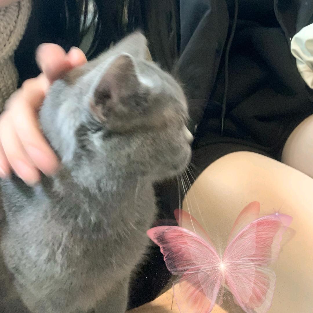 奶茶拿来⁸你🌈