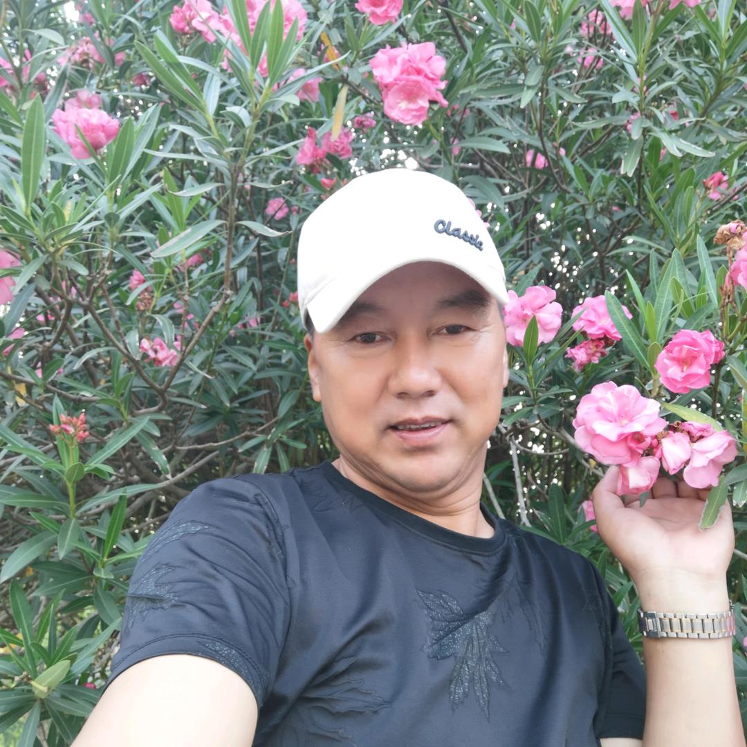 凤阳老李