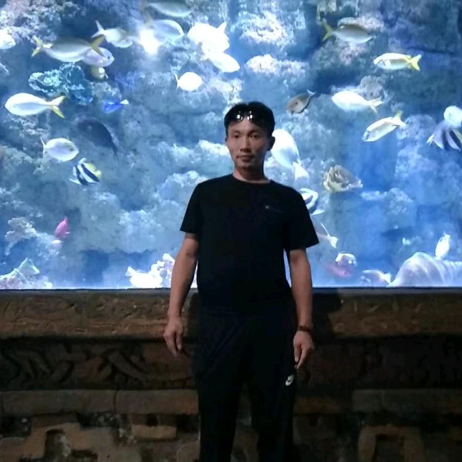 董哥