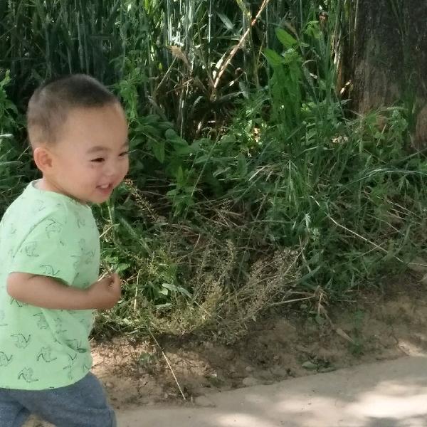 大自然
