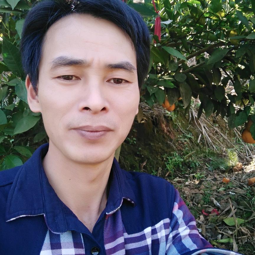 心恢憶冷
