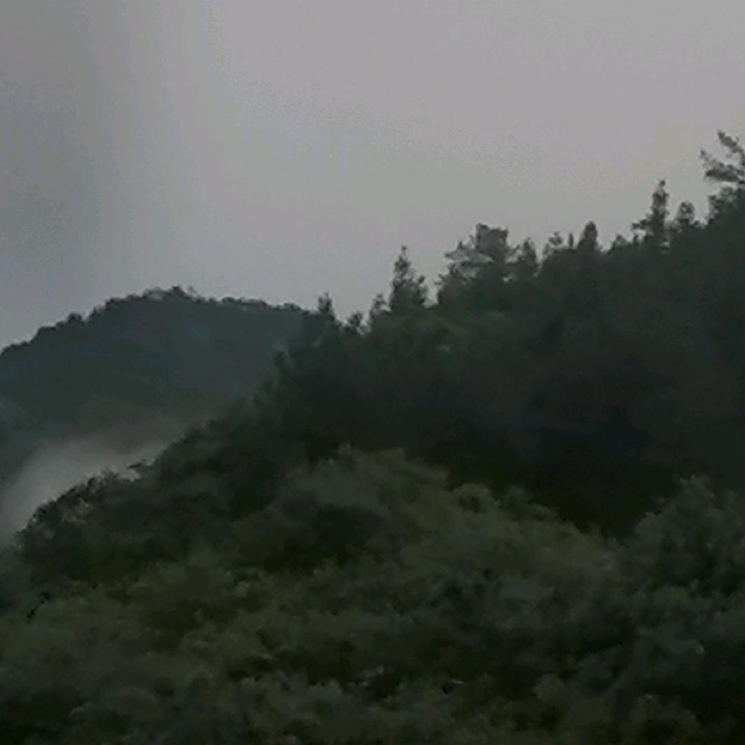 专业卷边之富狗哥哥