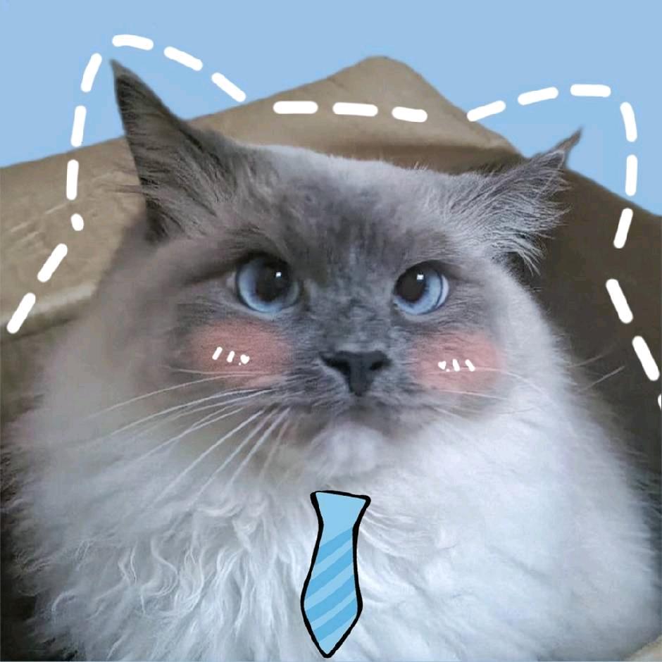 小甜策