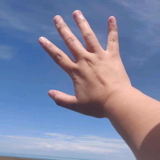 梦里啥都有