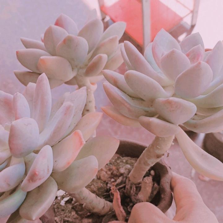 开心快乐每一天，