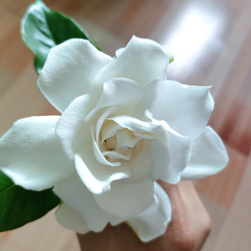 简单执着