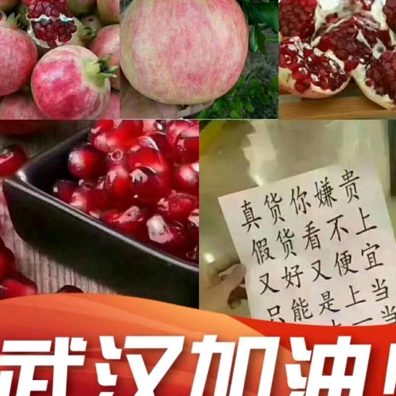 鱼儿