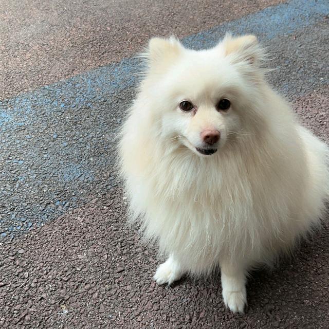 🌈怀念🌈☀️