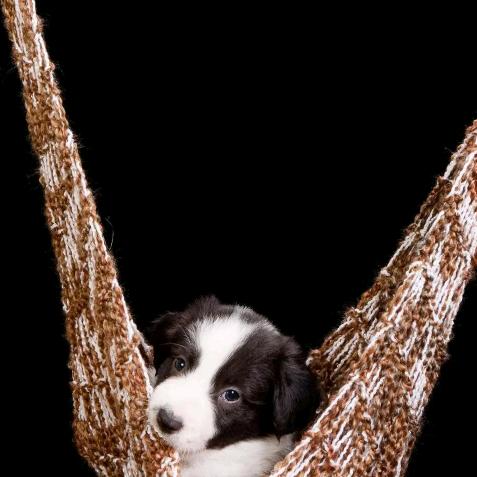 柘城幸福童年玩具超市