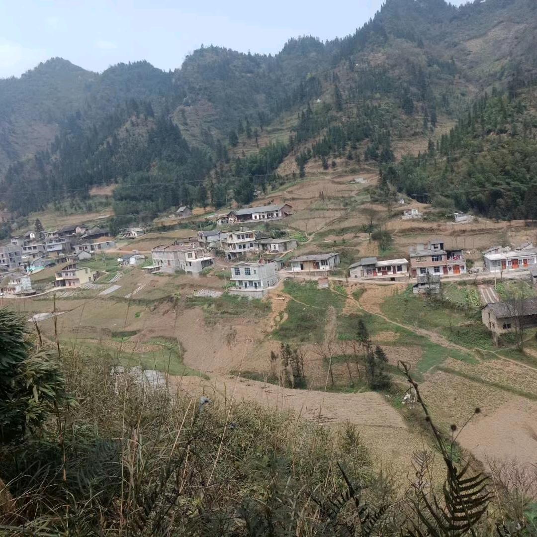 小骆