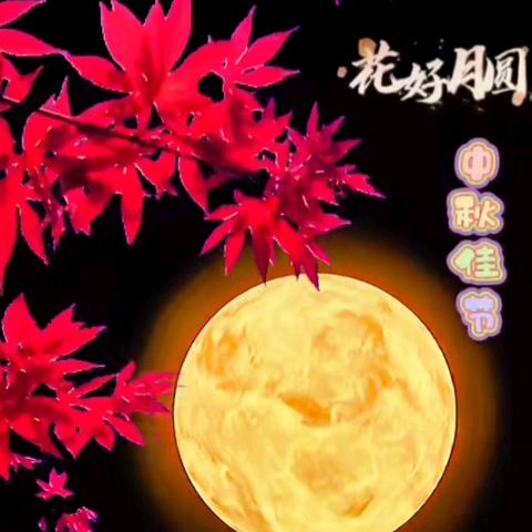 花好月圆🌸🌸🌸