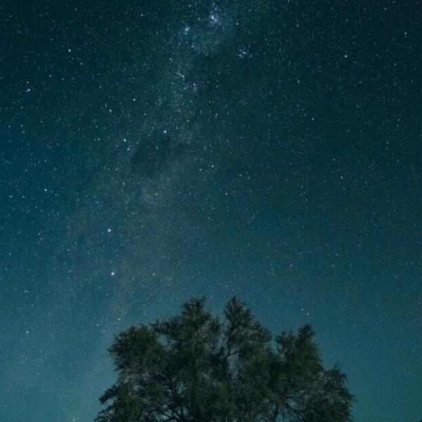 奶油捈捈