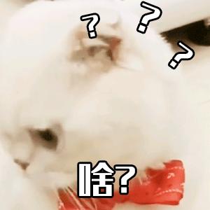 心灵奇旅