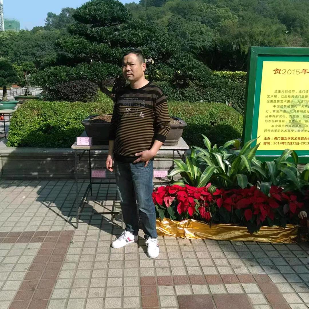 金丝猴