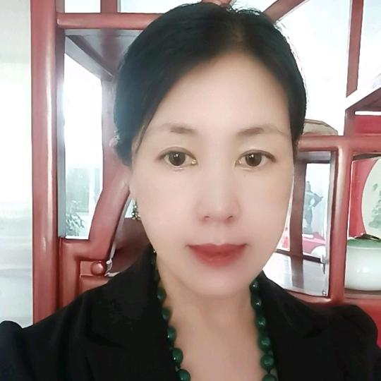 社保高姐