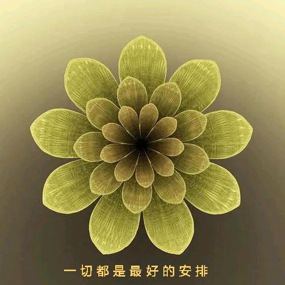 如意如意随我心❤意