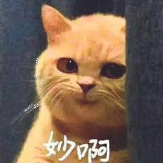 誓言复仇画师冷锋头像