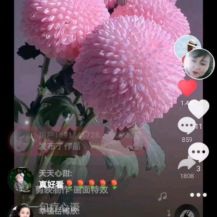 用户6789660786328