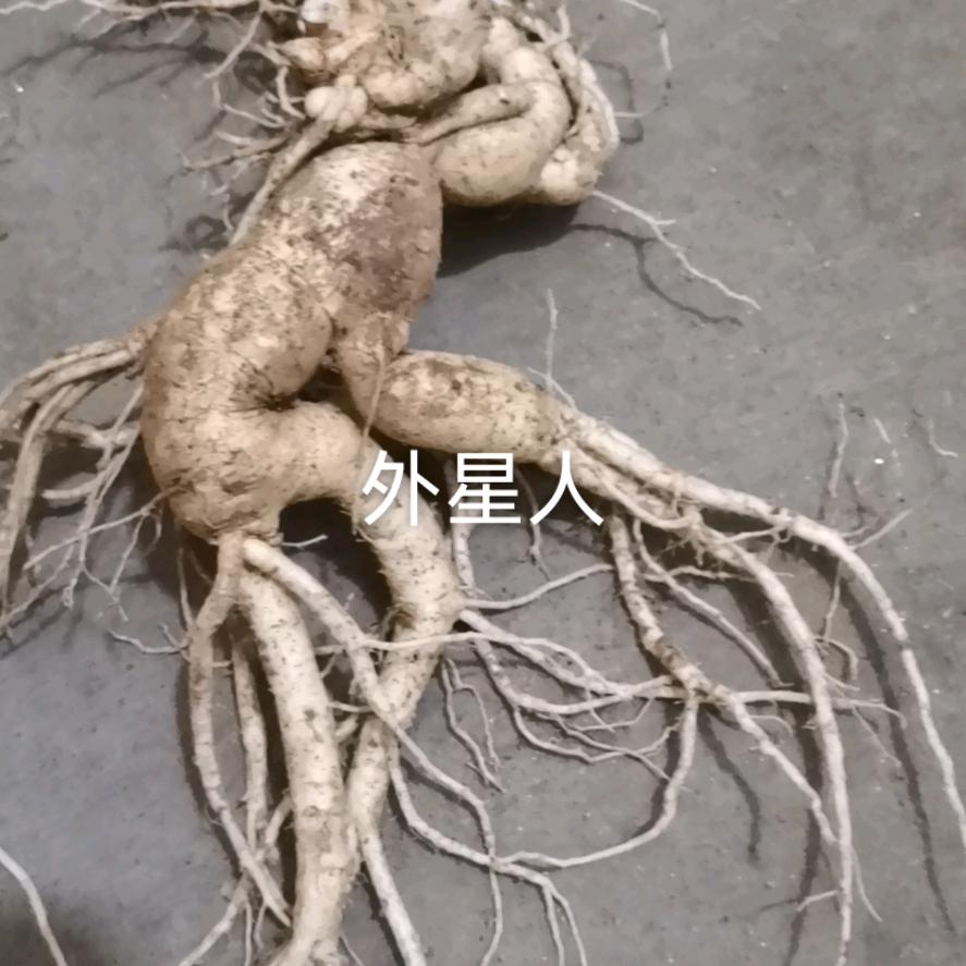 为爱守候8631