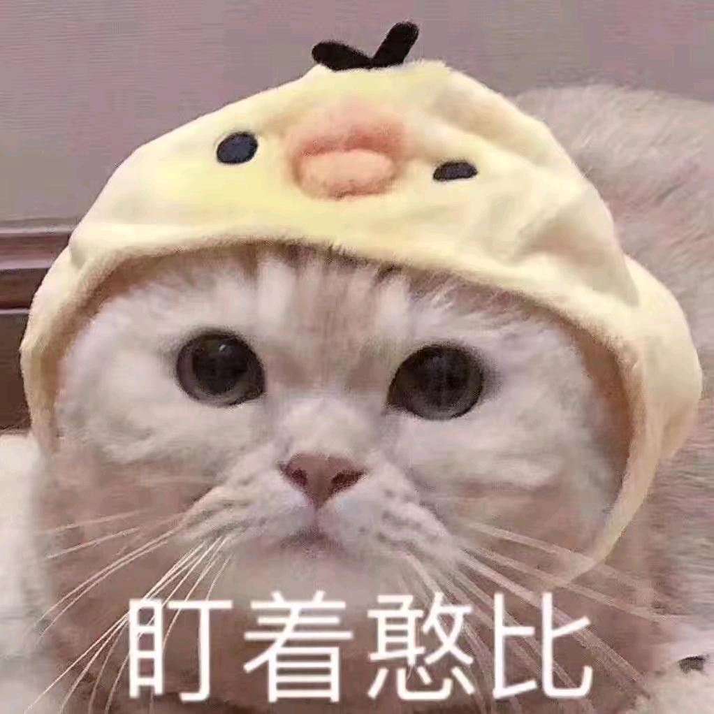 ᝰ小彭同学ꪝ