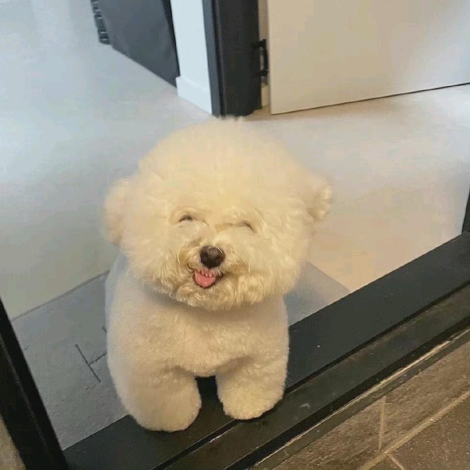 趣味挑战赛