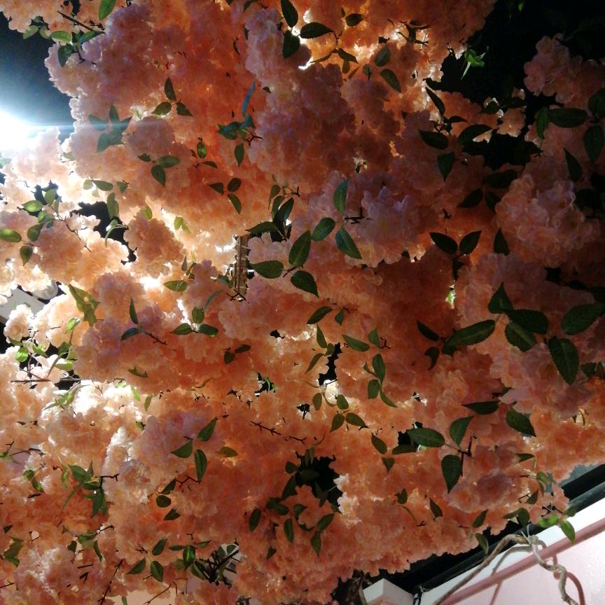 咖啡☕️不懂酒的醉