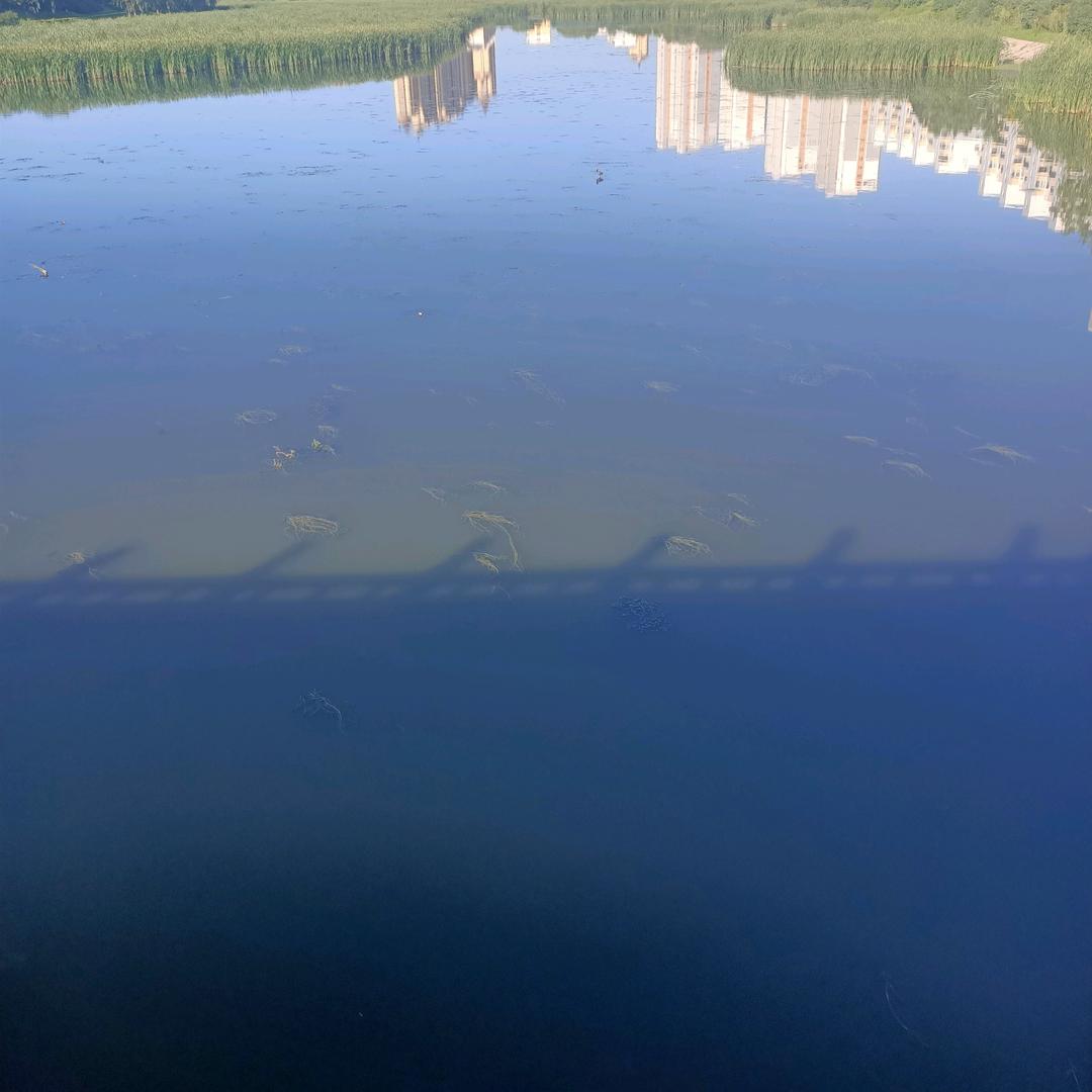 迷你凡