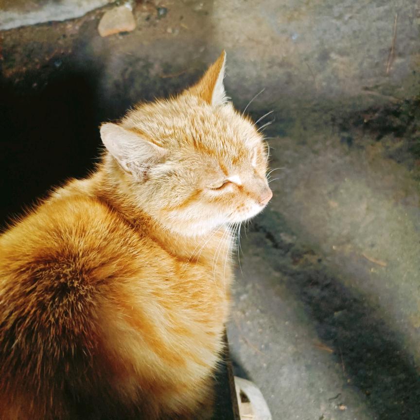 真情永远