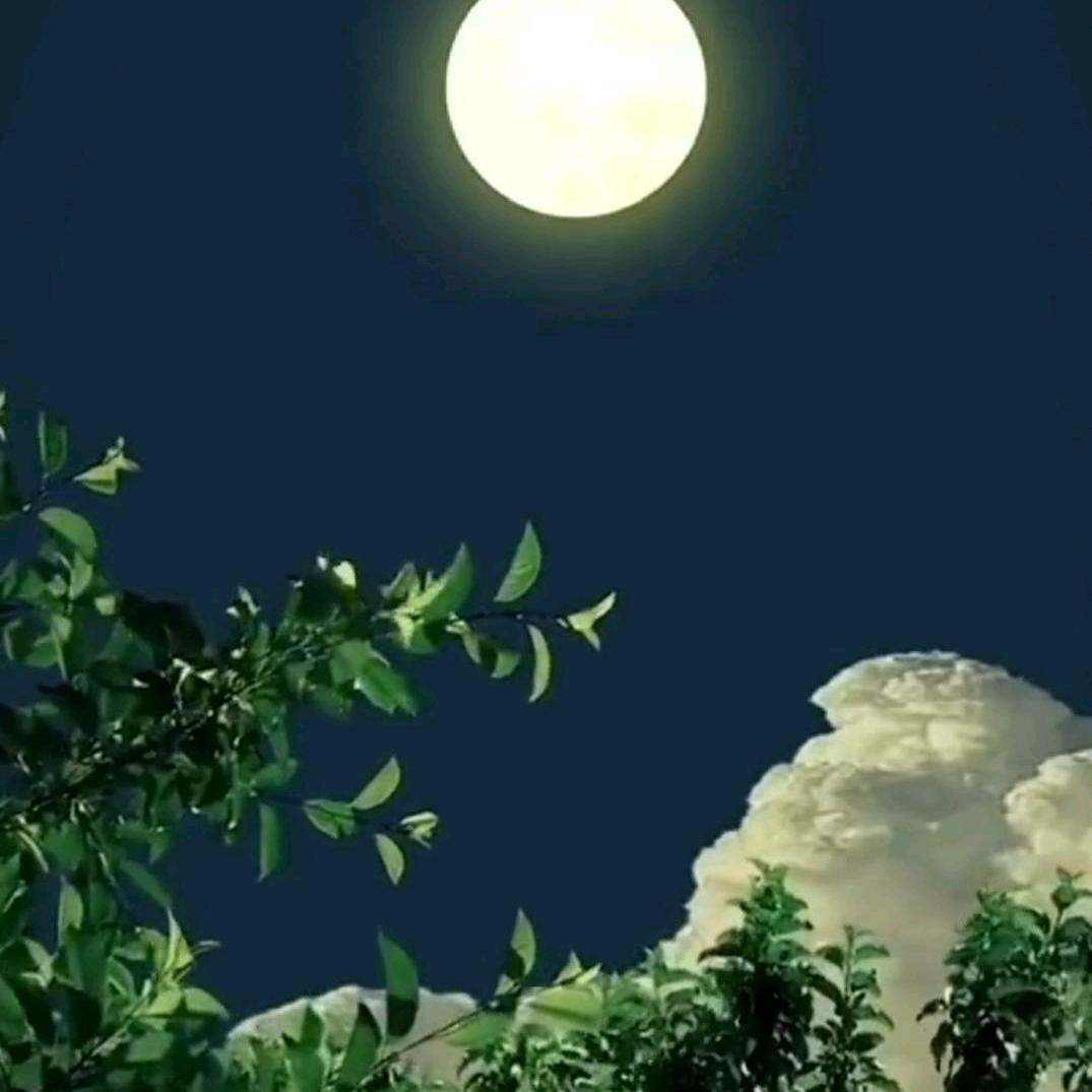正阳县