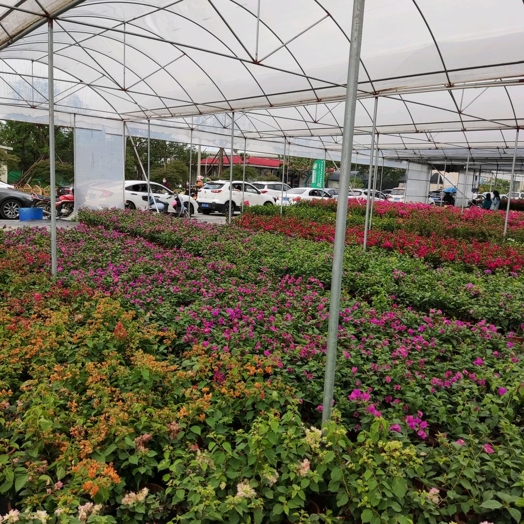 ♥(｡￫v￩｡)♥勇