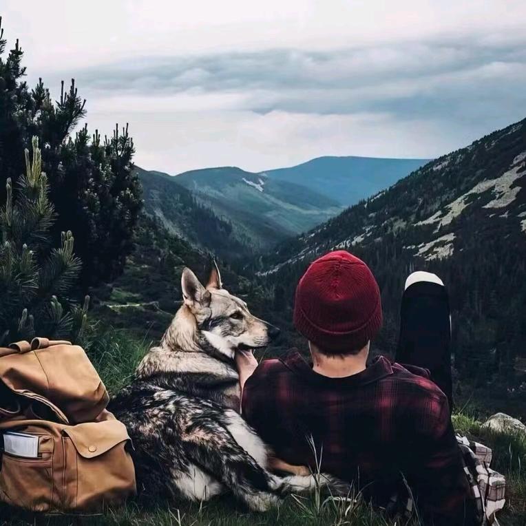 车都车业阿克🔚