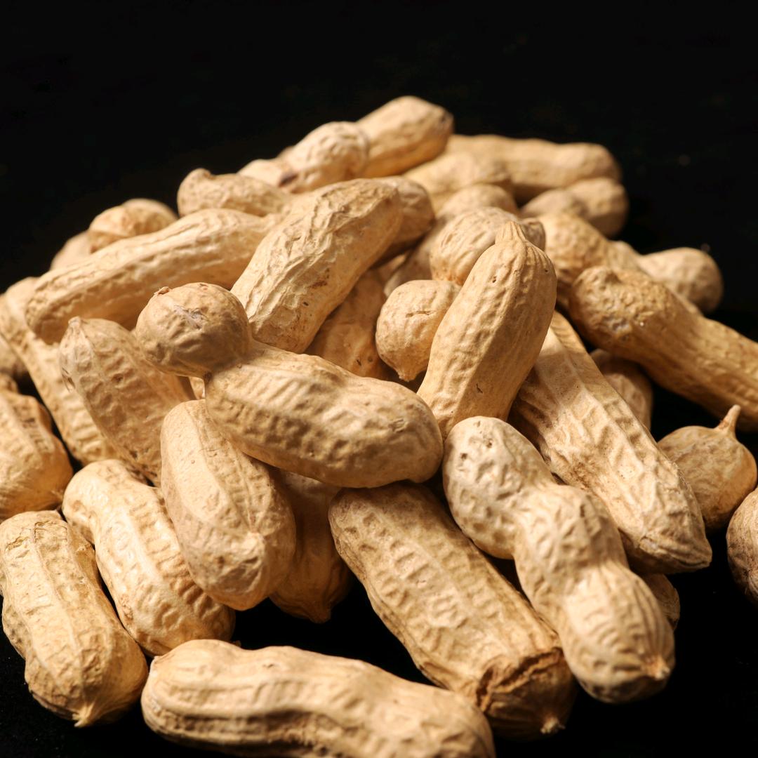 农家味道的小店