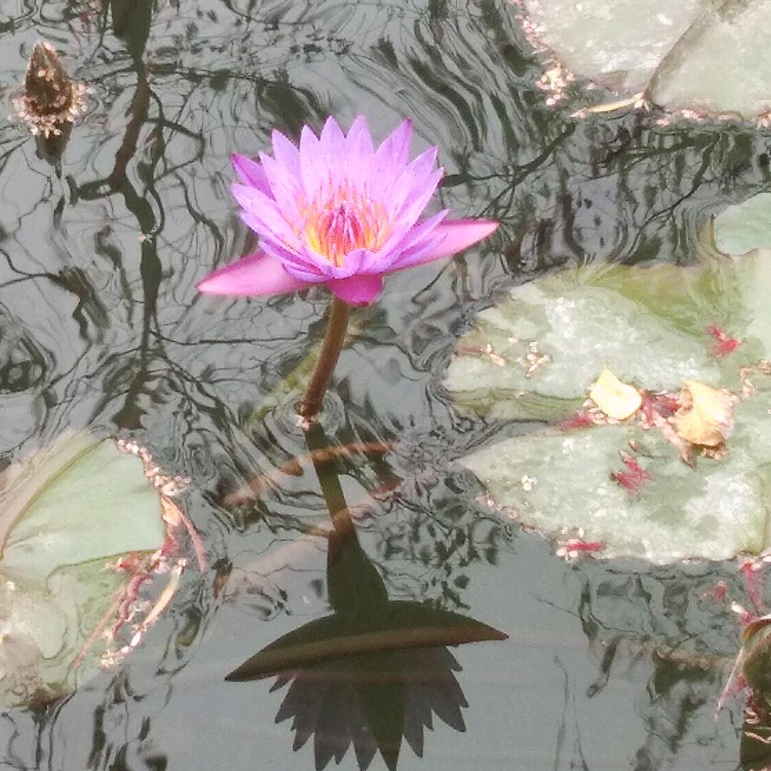 晴天.阴天.下雨天.