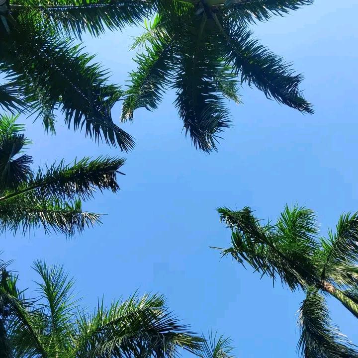 海浪