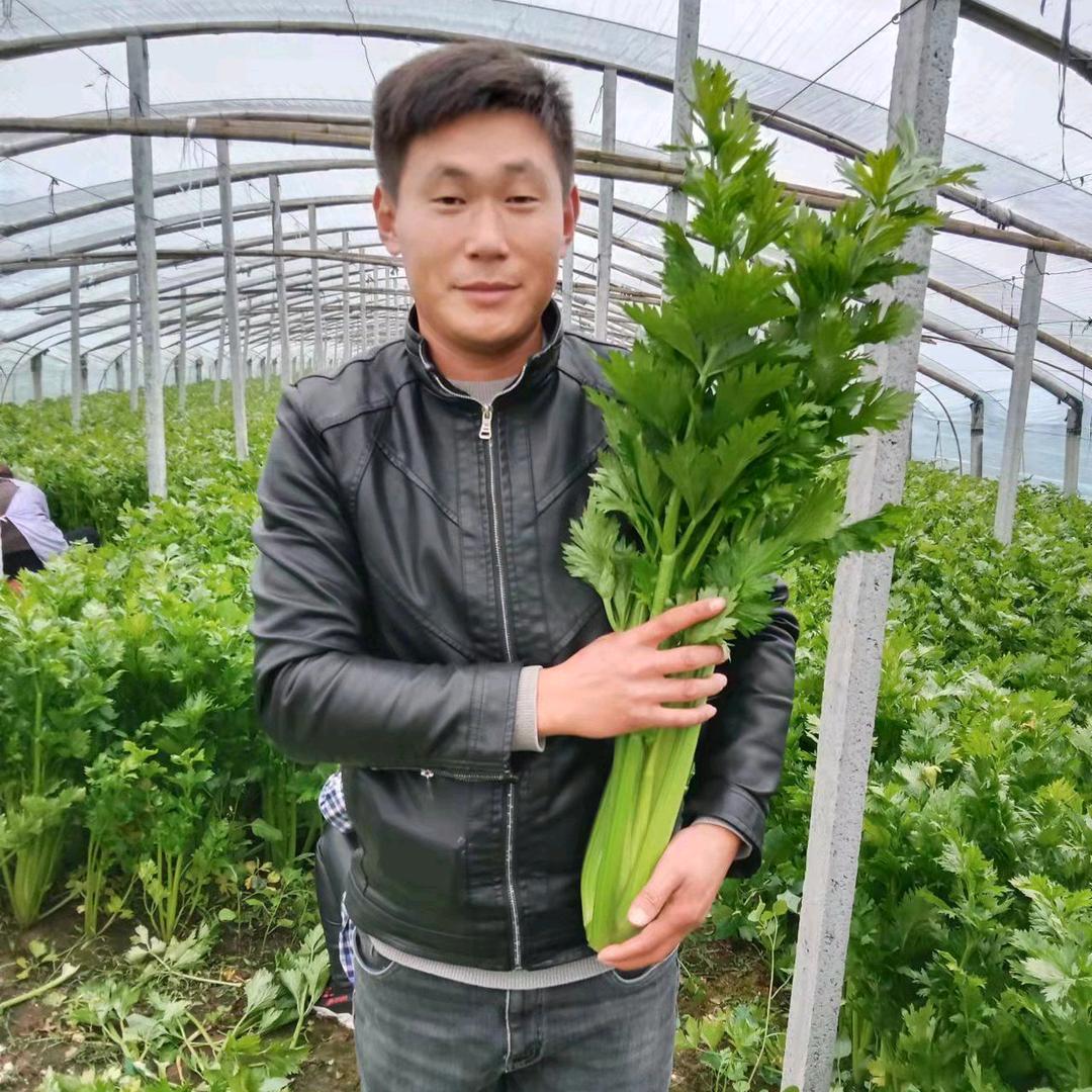 曹县富万佳种植专业合作社