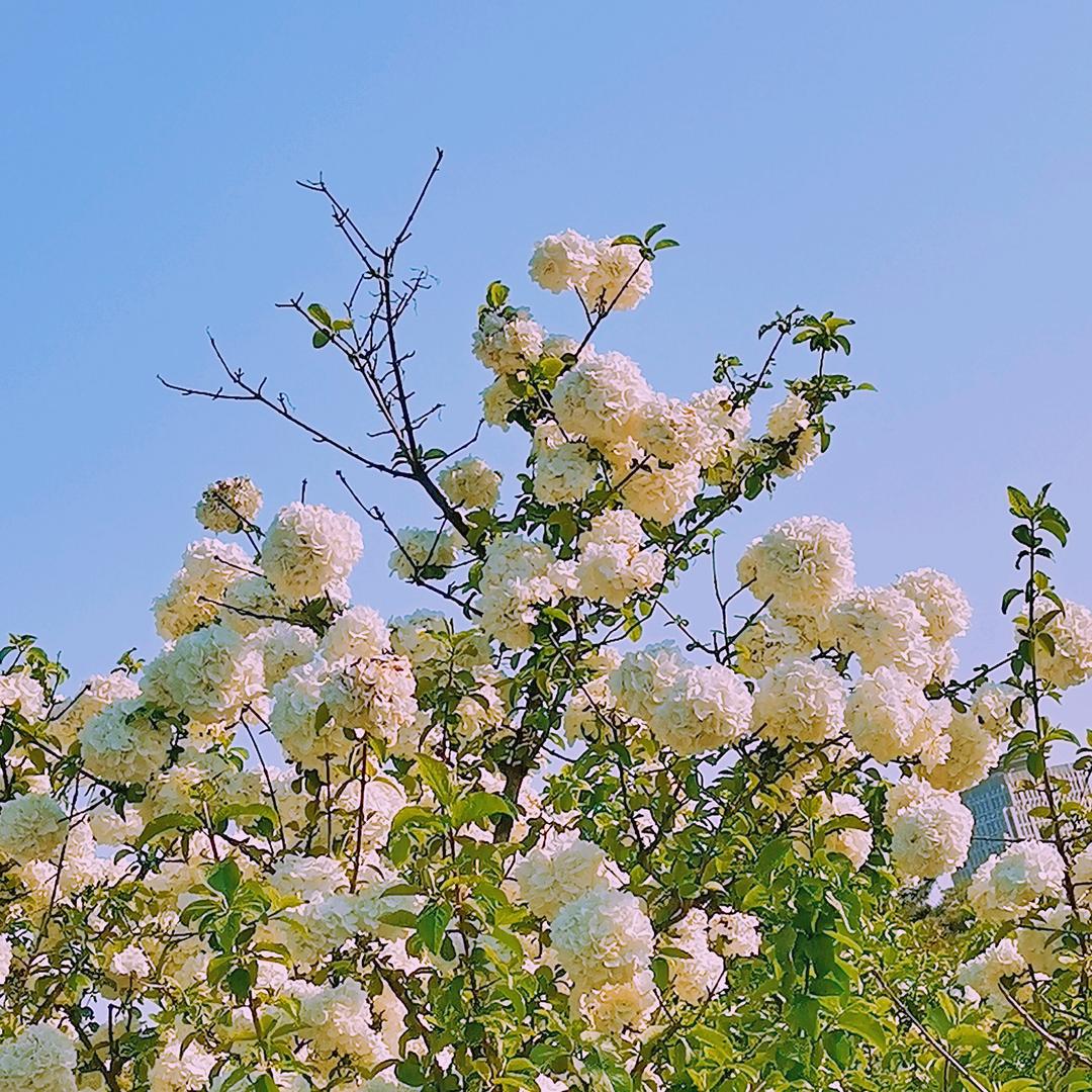 @伟