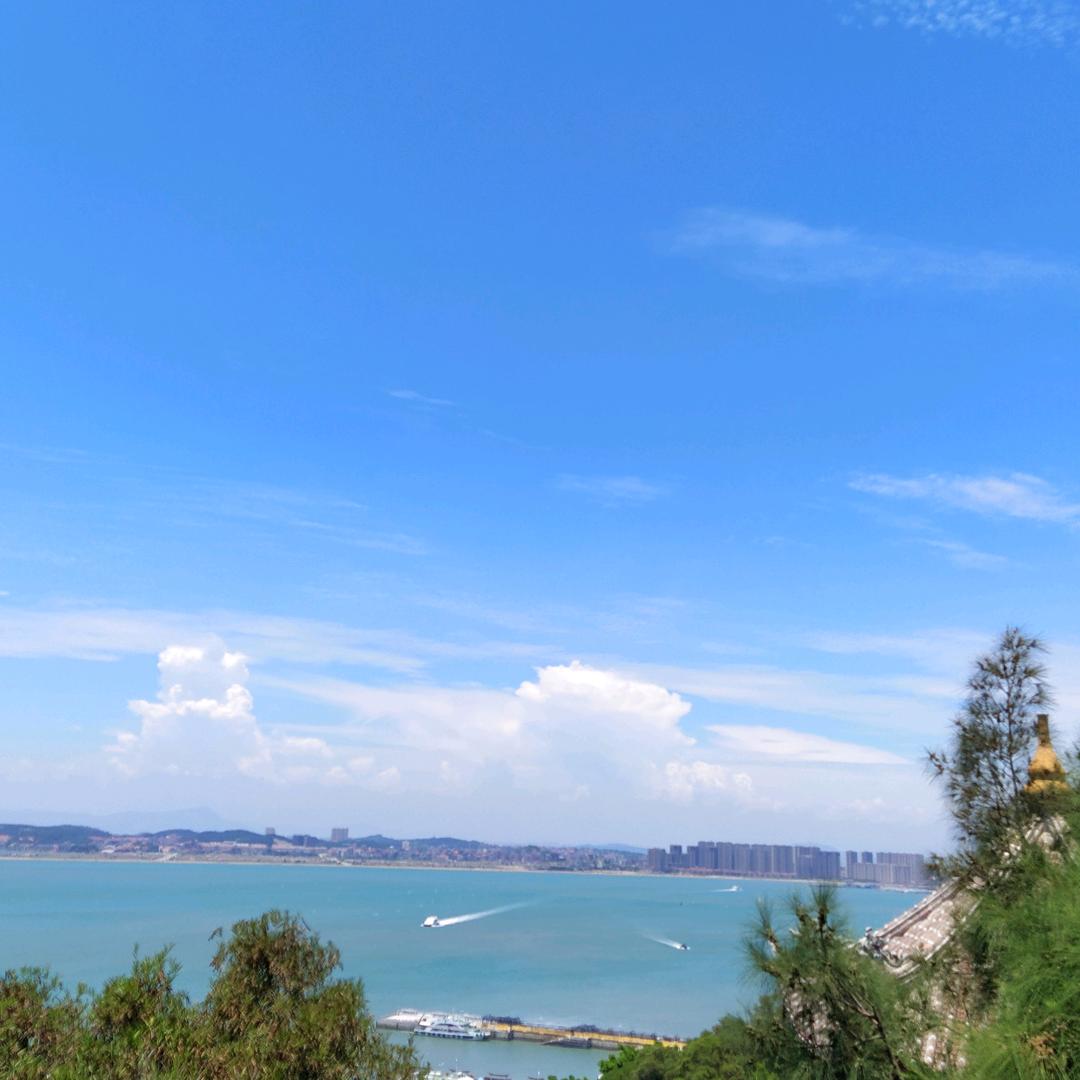 小李