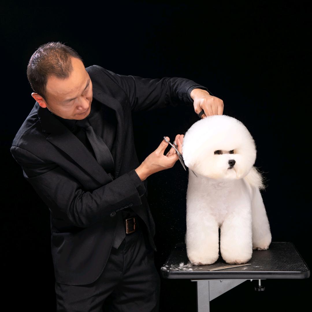 雄派比熊犬舍