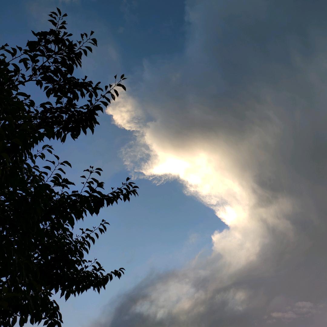 心之所向素履以往