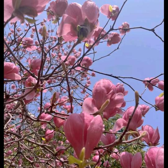 一起来听歌