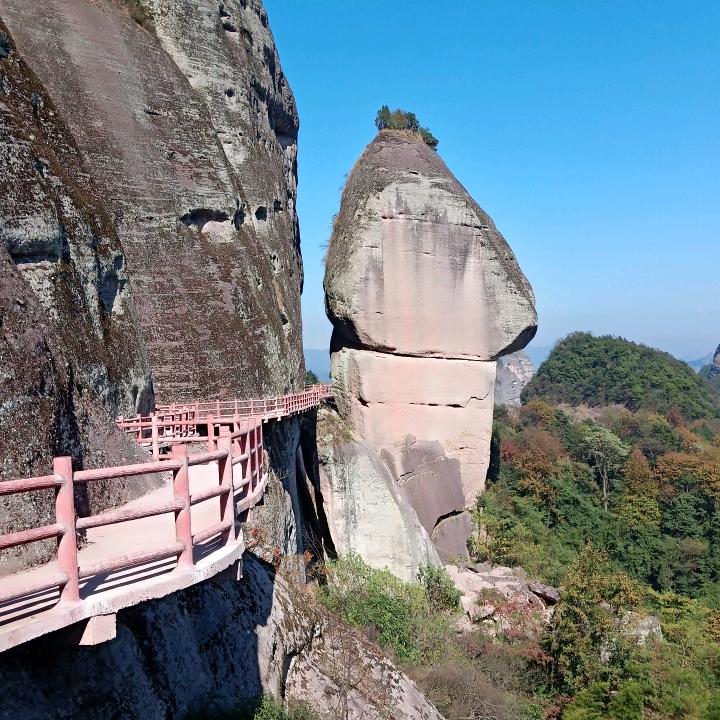 糊涂人生