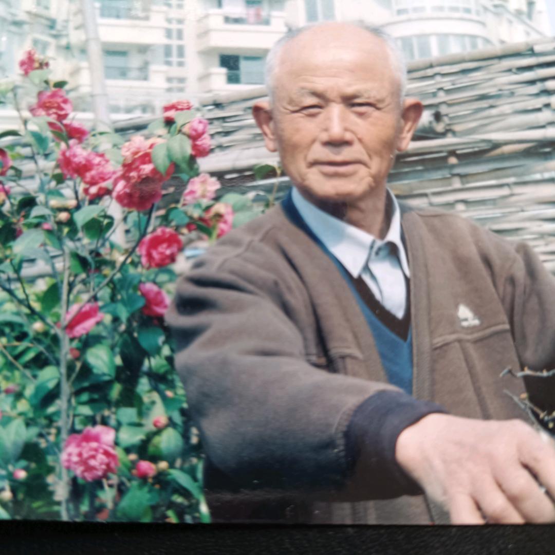 兴华