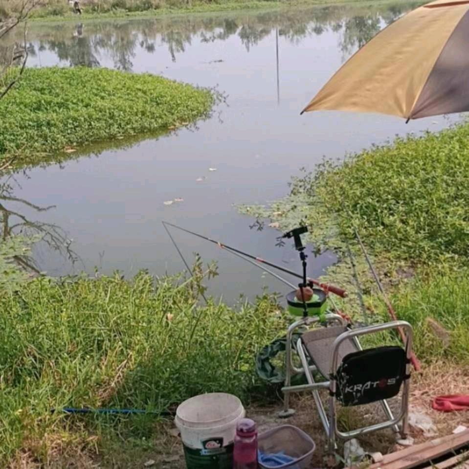 俊俊爱钓鱼