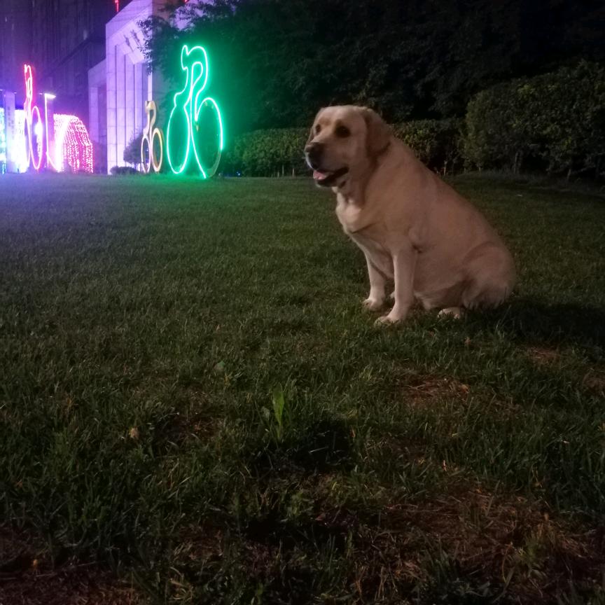 辽纺、369地摊野火锅