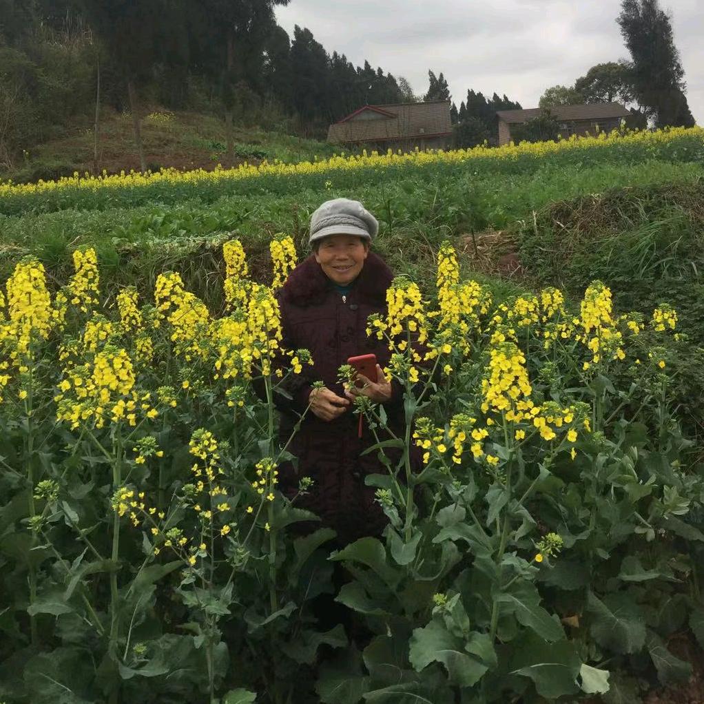 李怀东