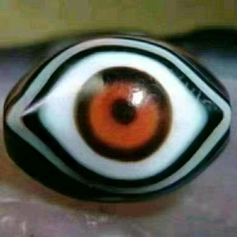 用户9856843189070